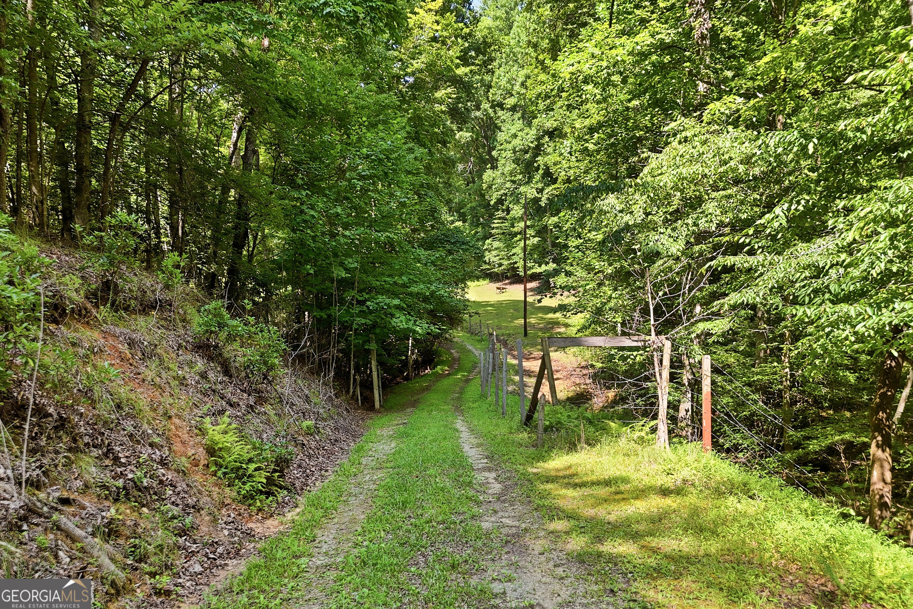 467 Gilliam Road Property Photo 17
