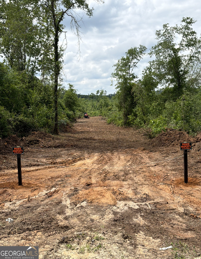 0 Hephzibah Mcbean Road Property Photo 1