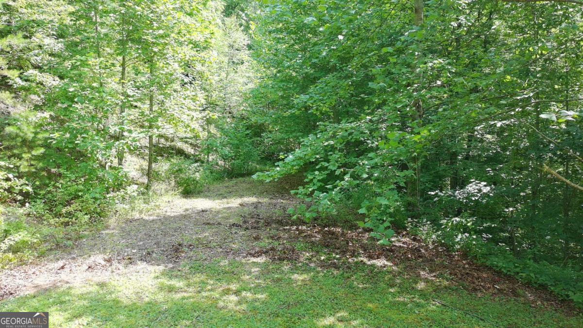 31 & 32 Wolfpen Gap Road