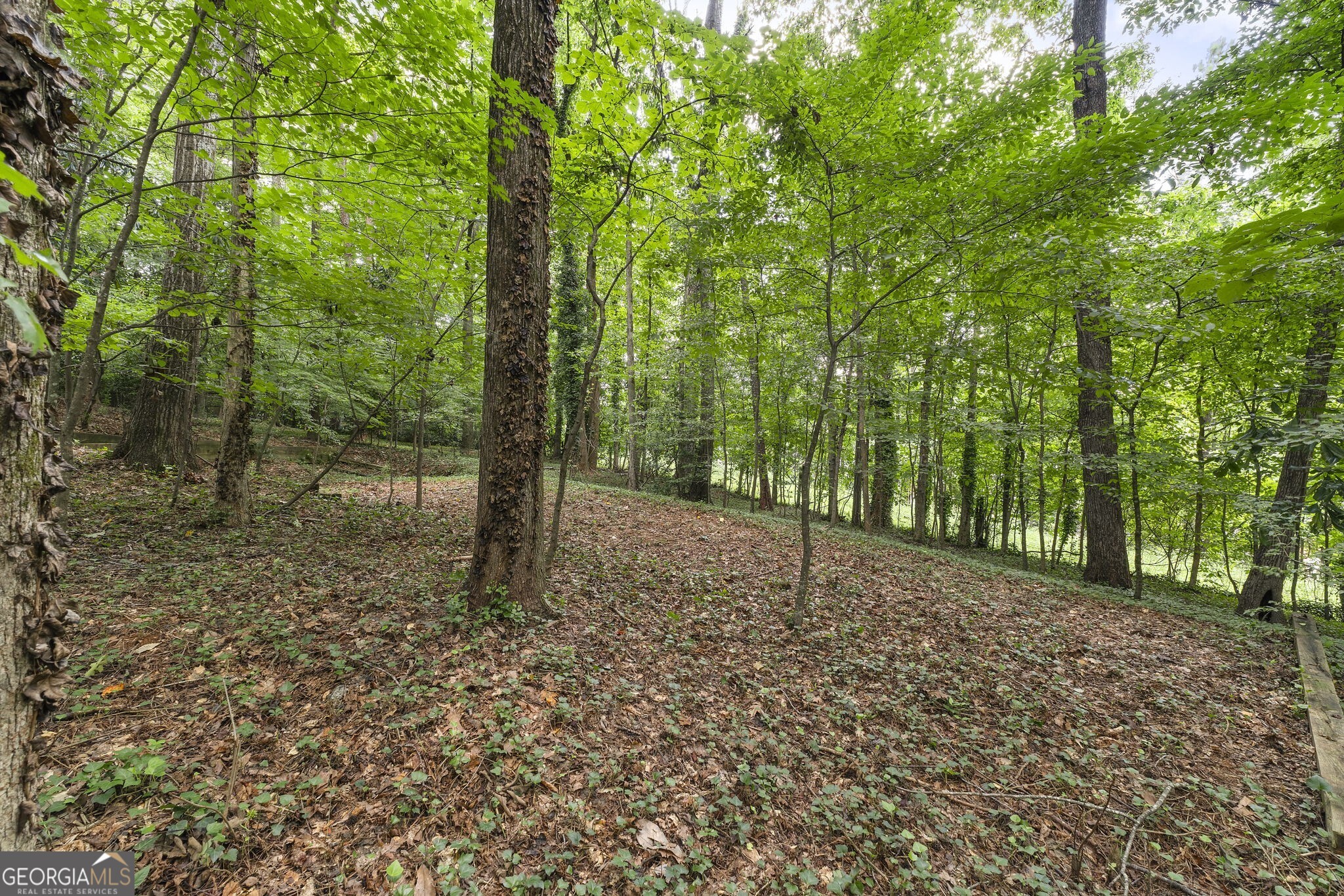 3886 Harts Mill Lane Property Photo 46
