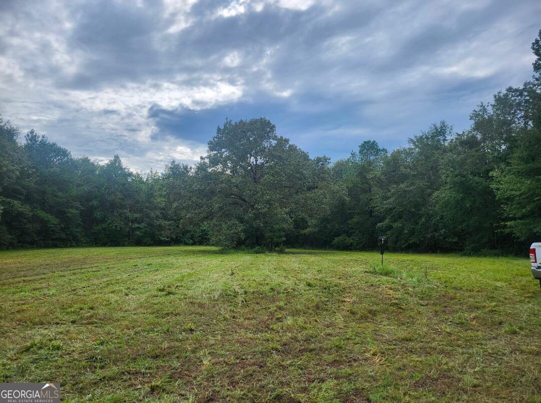 0 Lewis Station Road Property Photo 1
