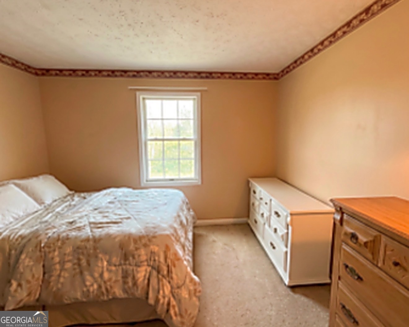 4292 Cedar Ridge Trail Property Photo 13