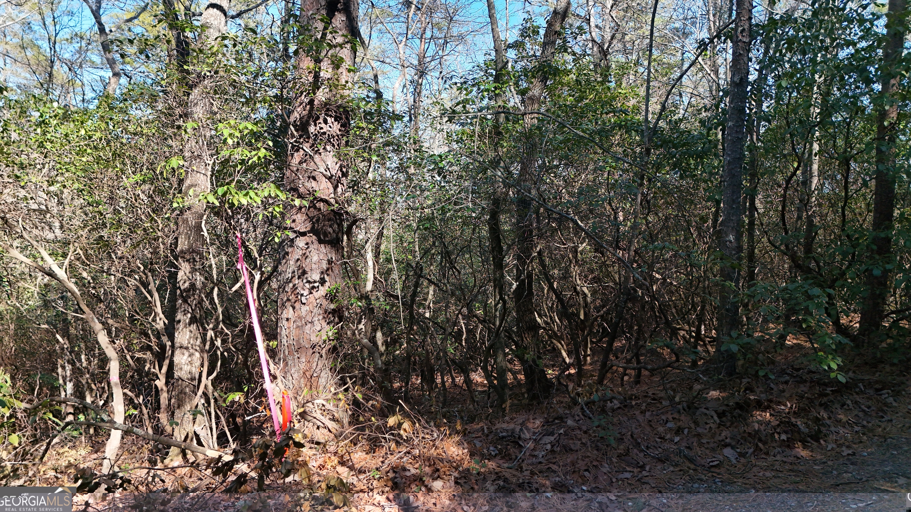 LOT 2 Crumley Creek Road Property Photo 1