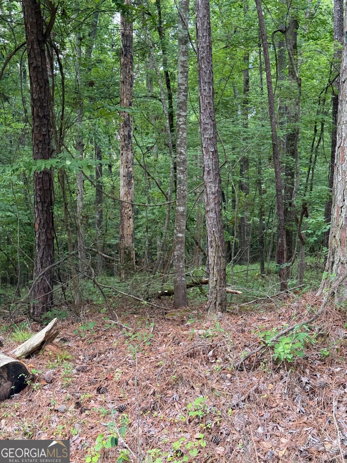 LOT 177 Laurel Way