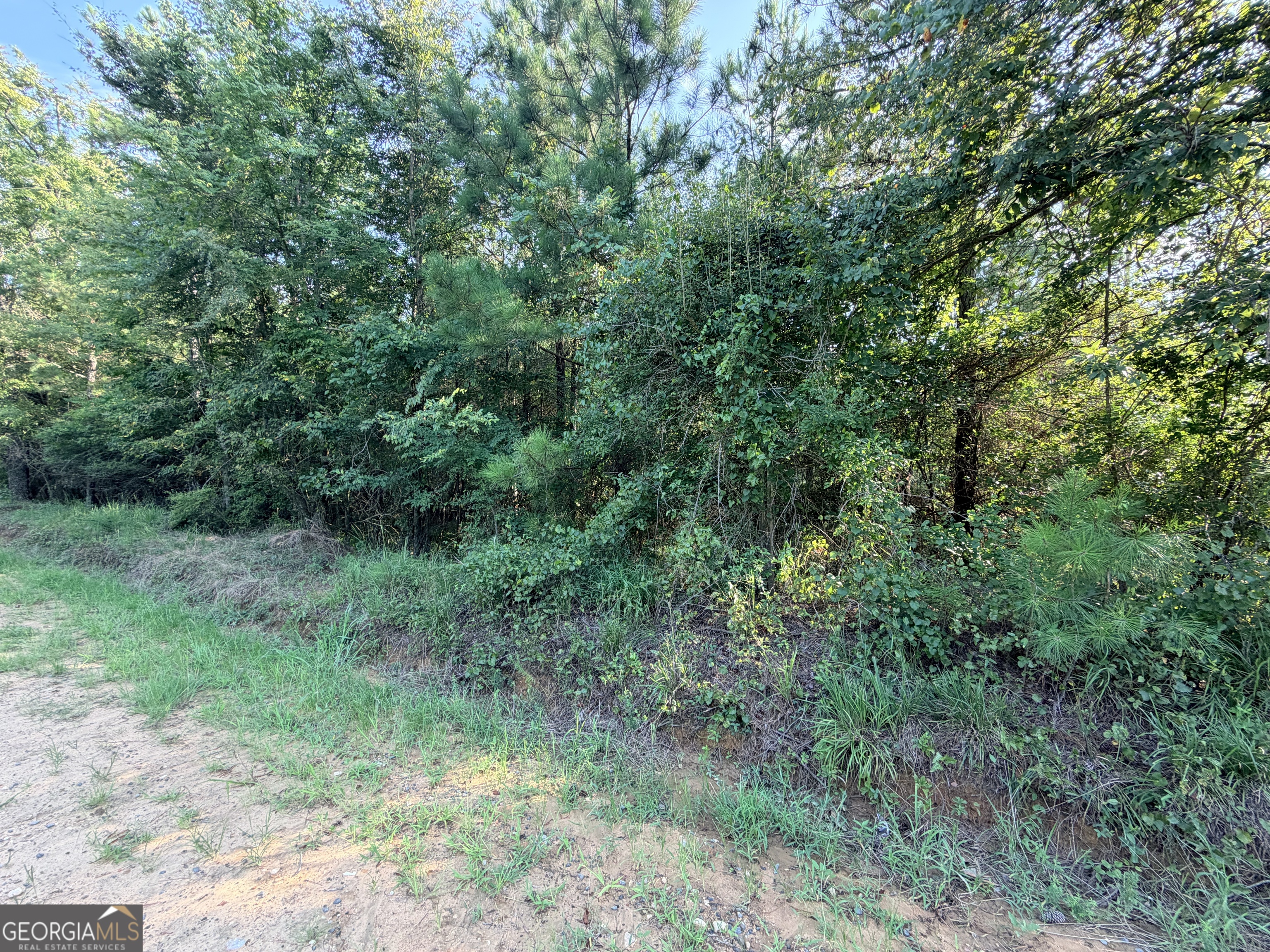 0 Hollis Road Property Photo 3