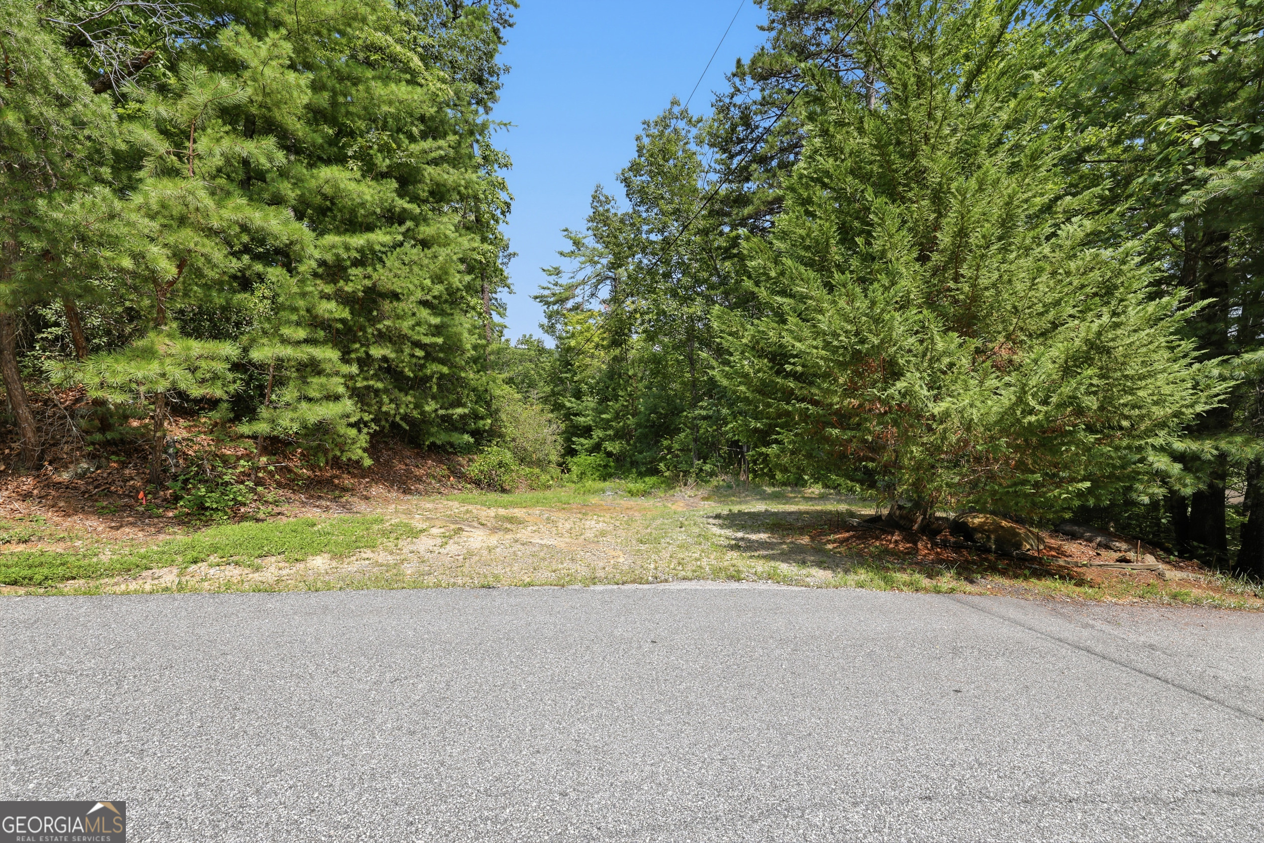 411 Hickory Nut Mountain Property Photo 32