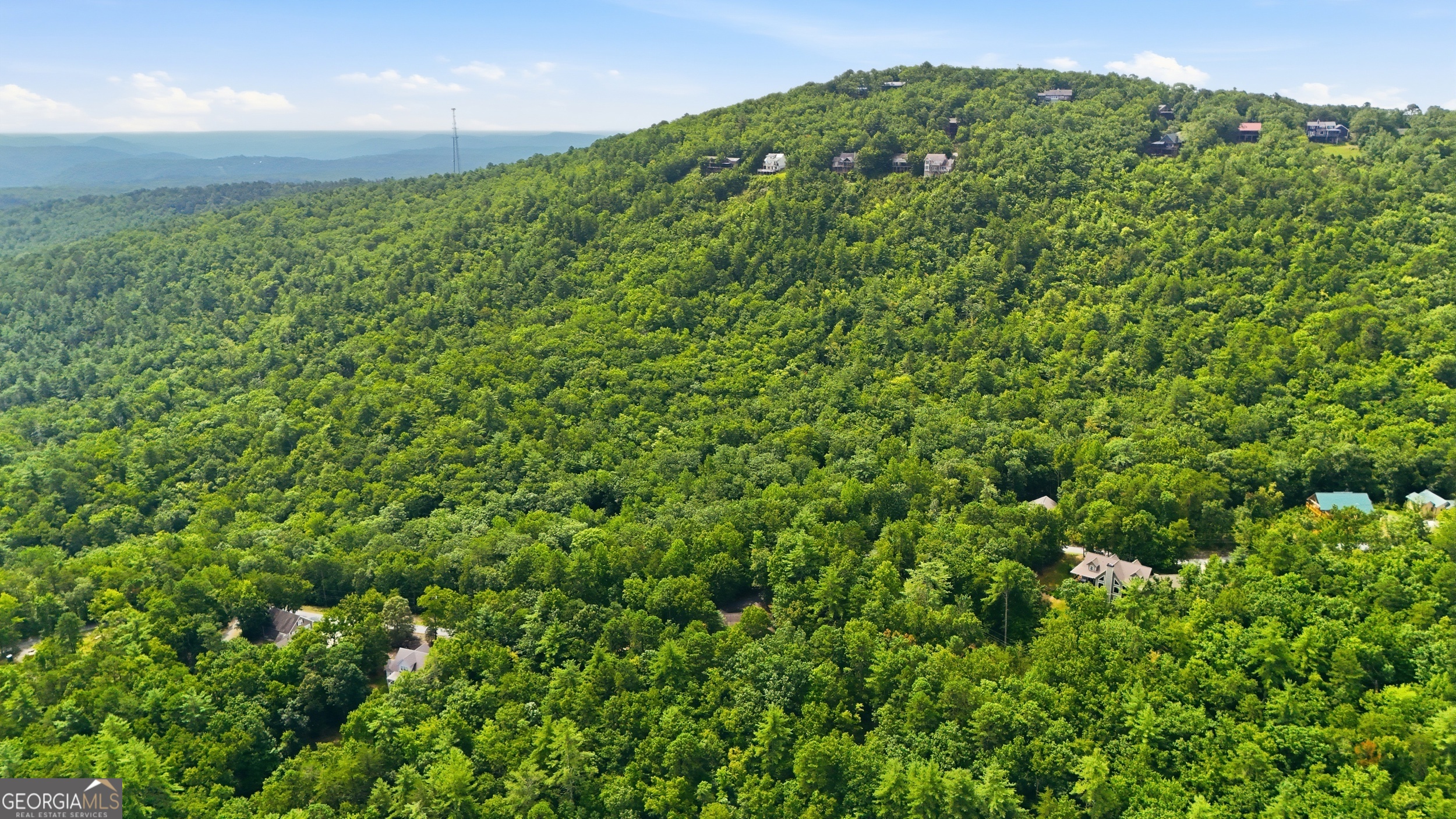 411 Hickory Nut Mountain Property Photo 38