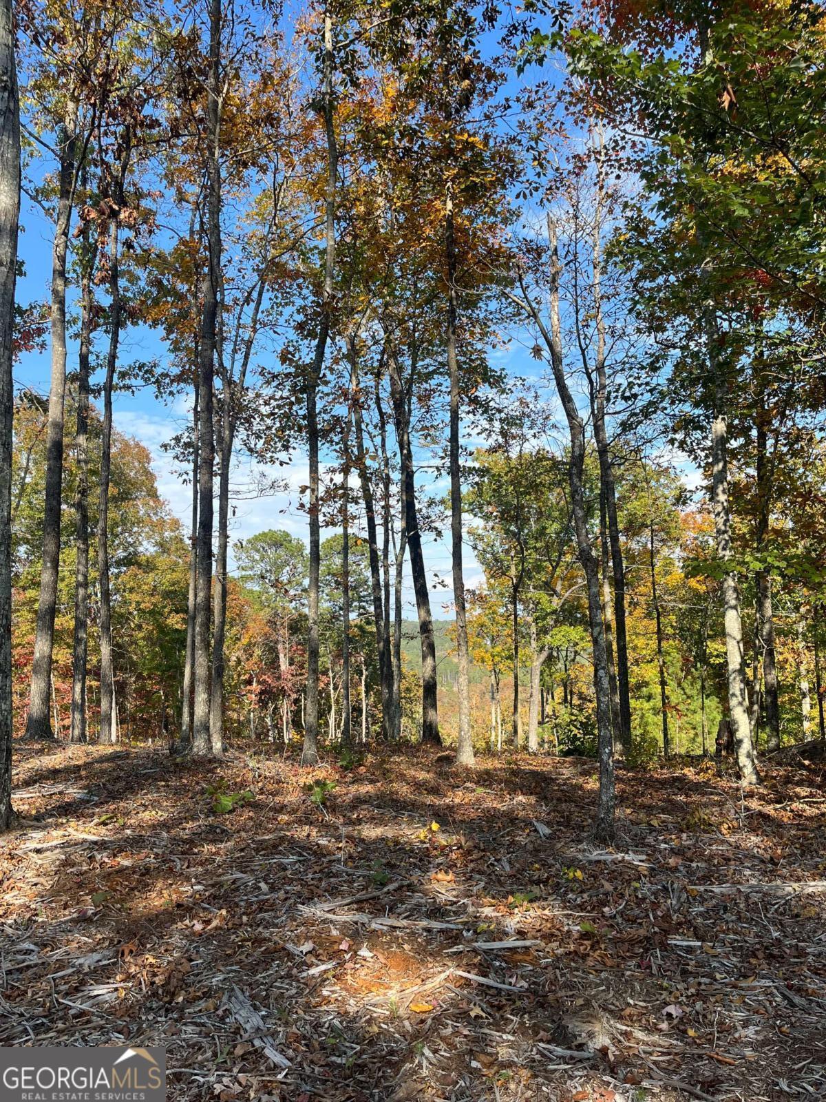 Lot 292 Creekside Crossing # 292 Property Photo 3