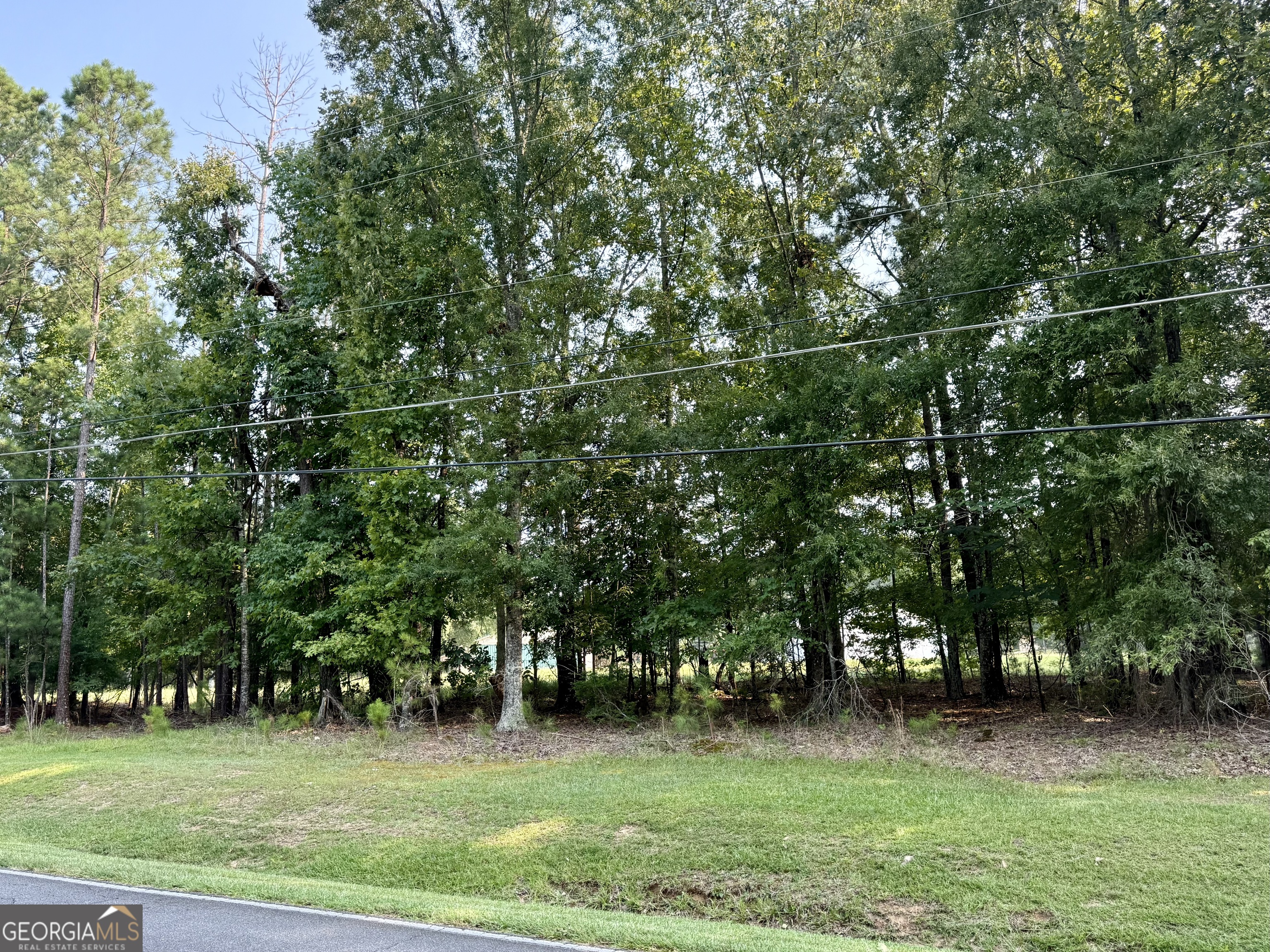 101 Stanton Drive Property Photo 2