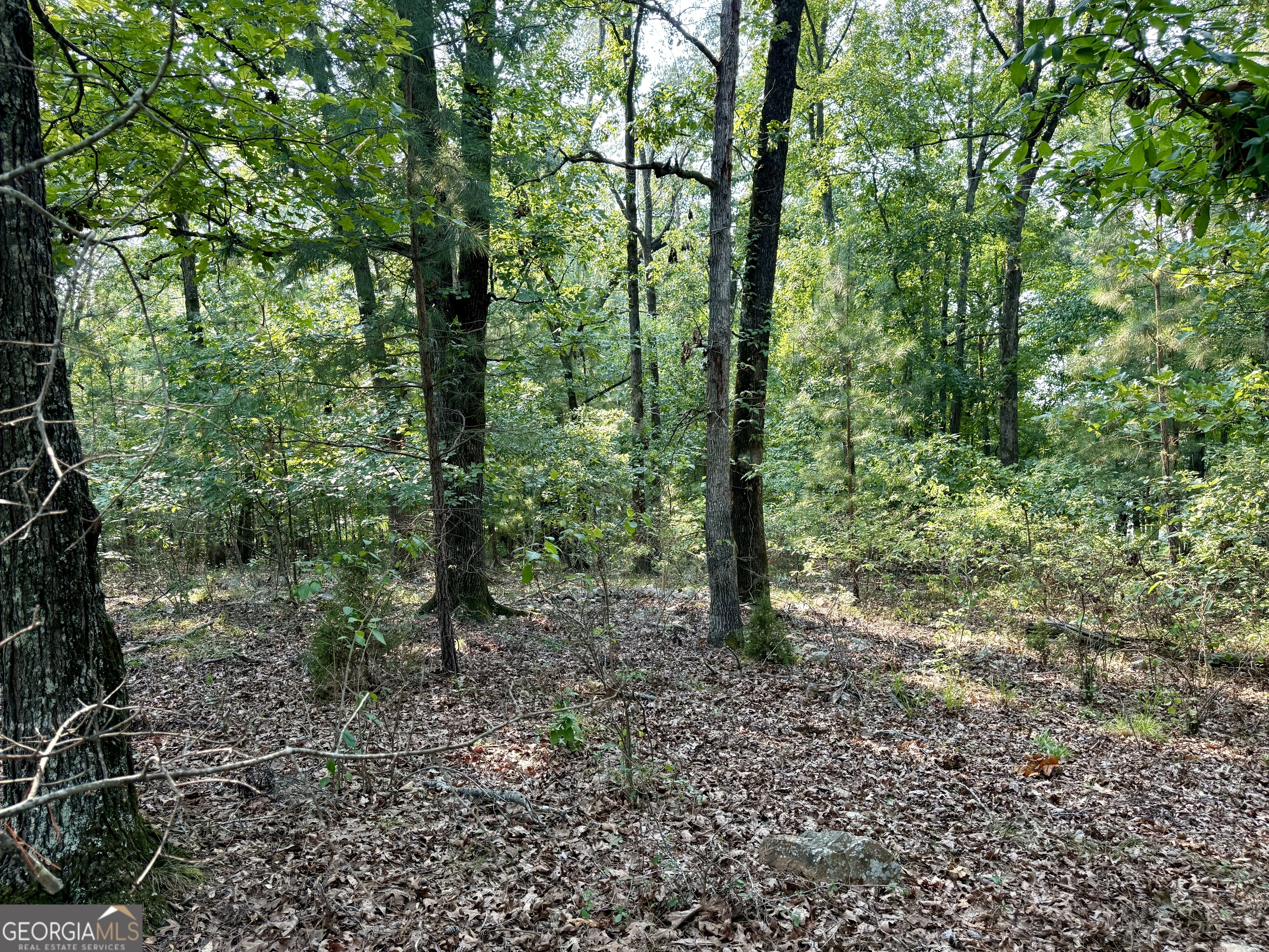 101 Stanton Drive Property Photo 3
