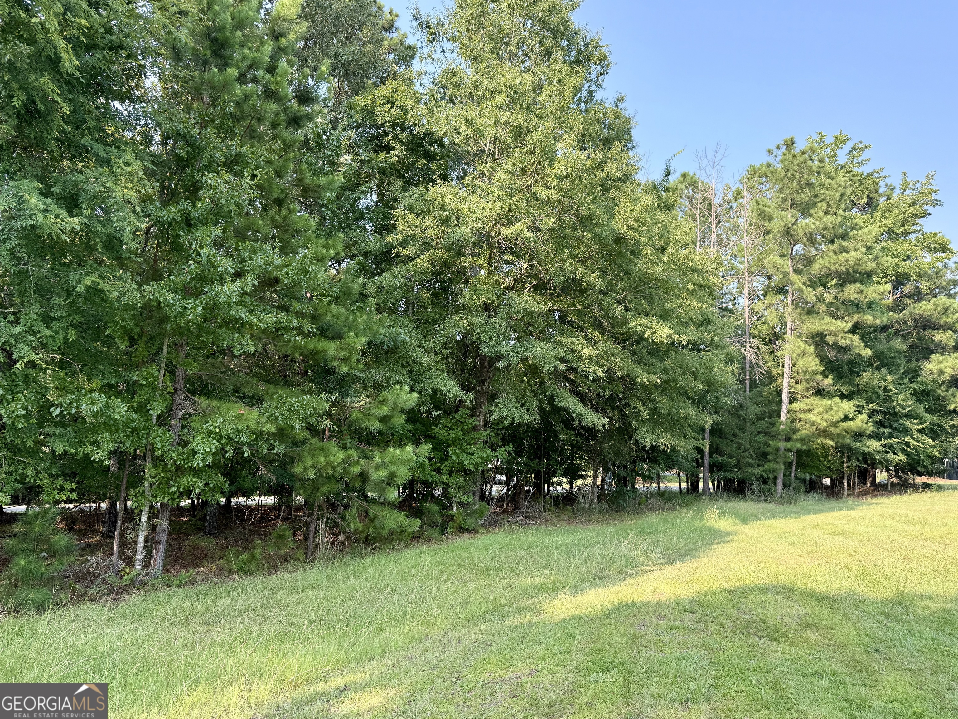 101 Stanton Drive Property Photo 6