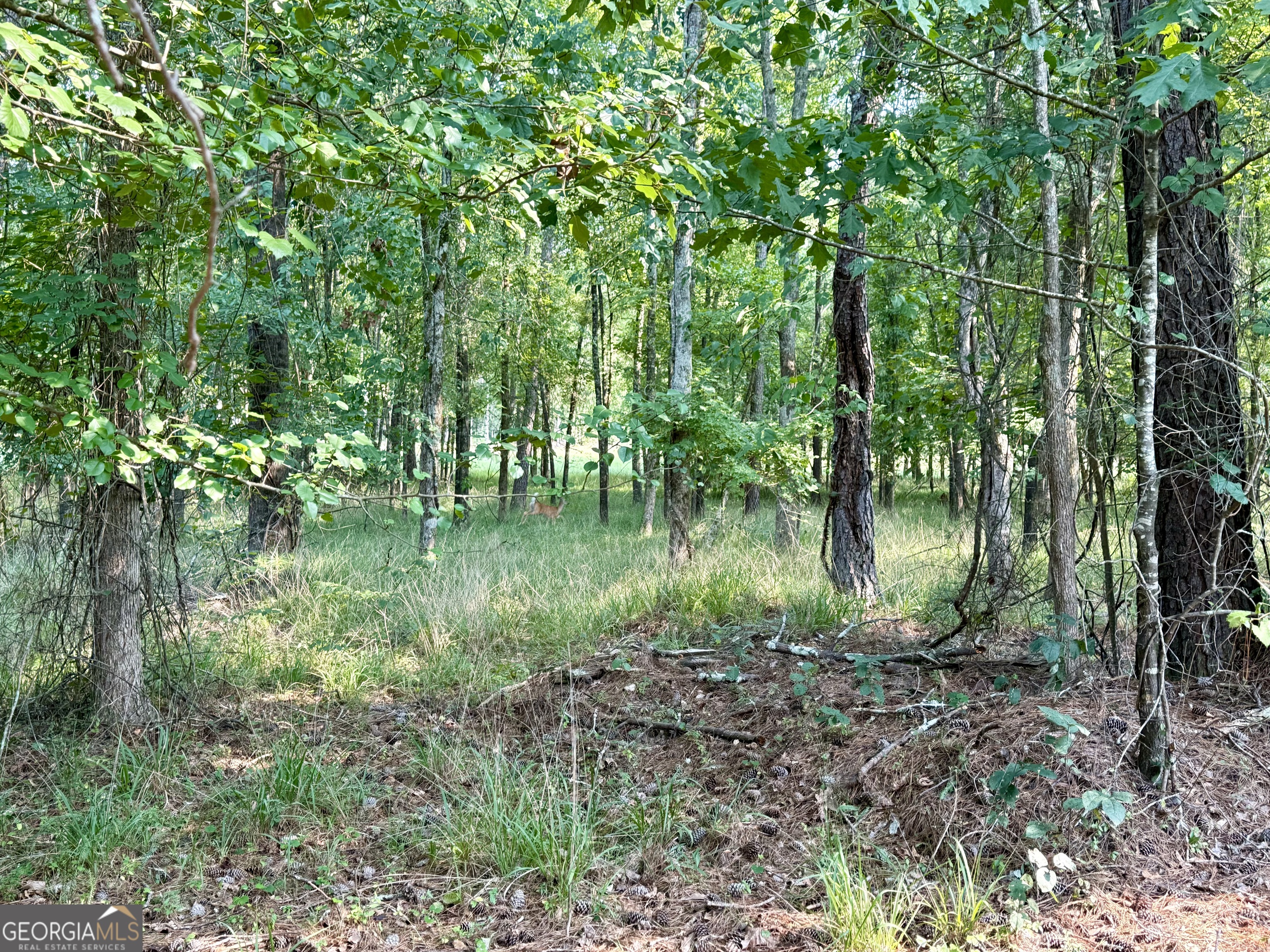 101 Stanton Drive Property Photo 10