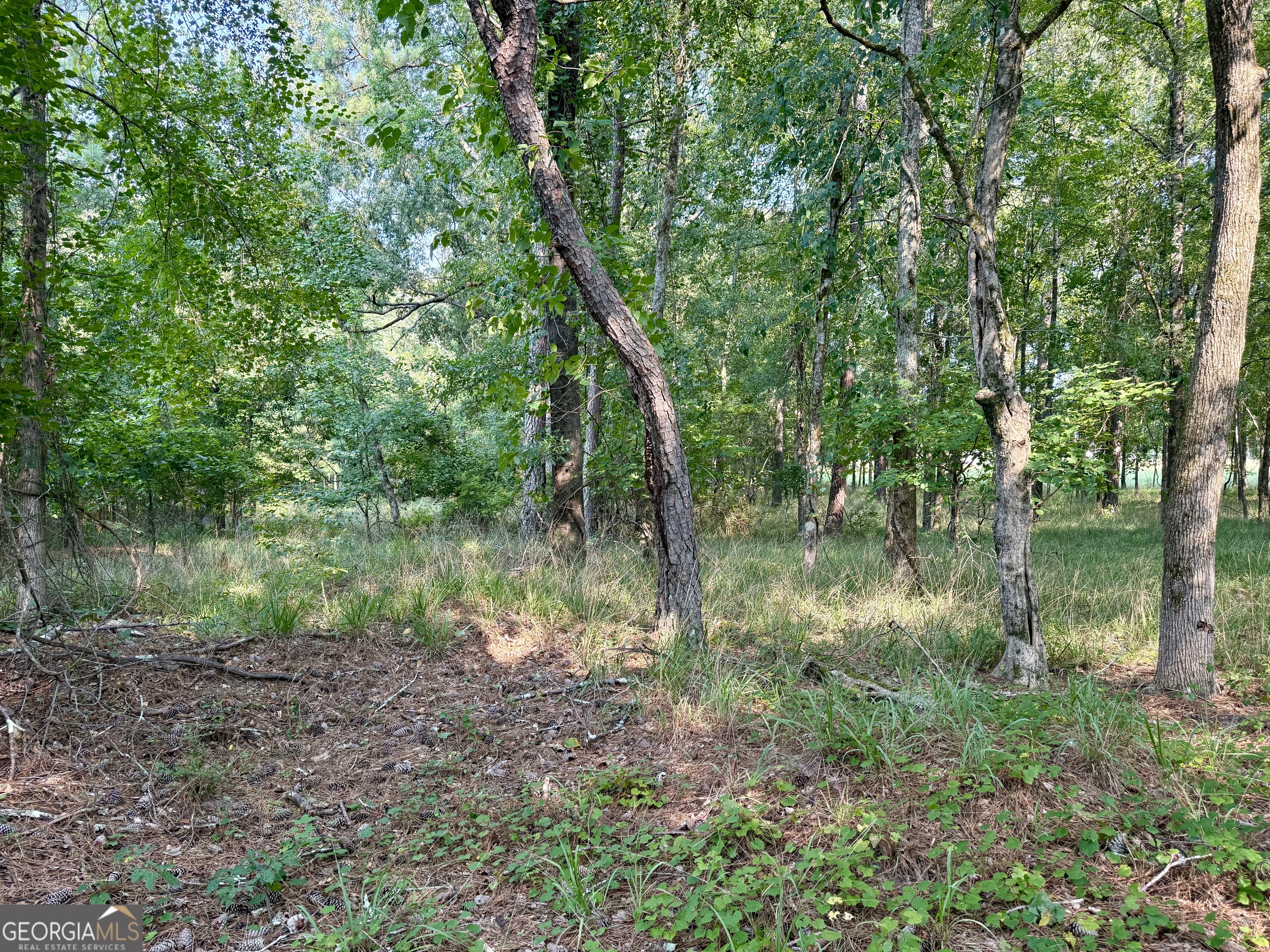 101 Stanton Drive Property Photo 11