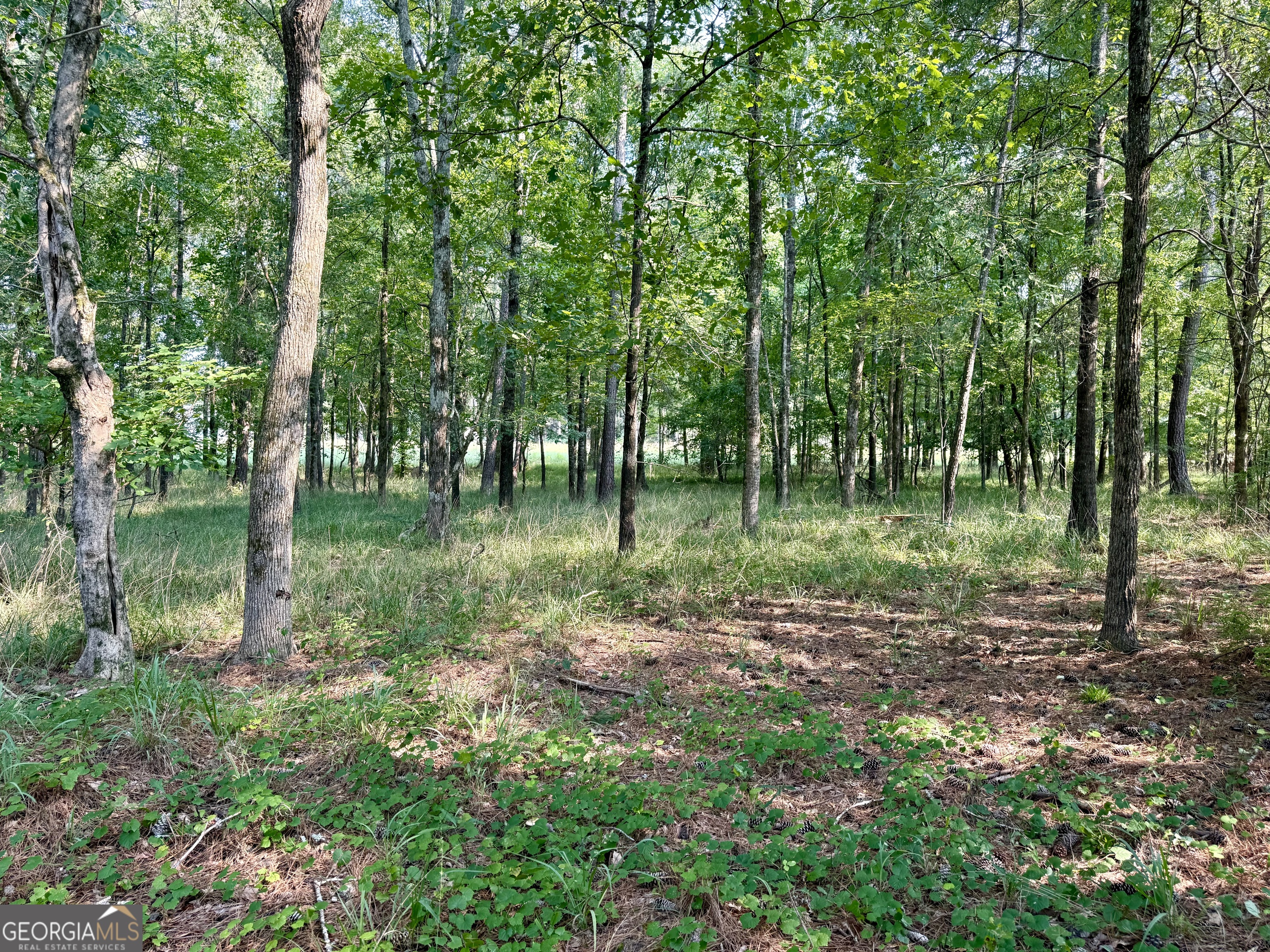 101 Stanton Drive Property Photo 12