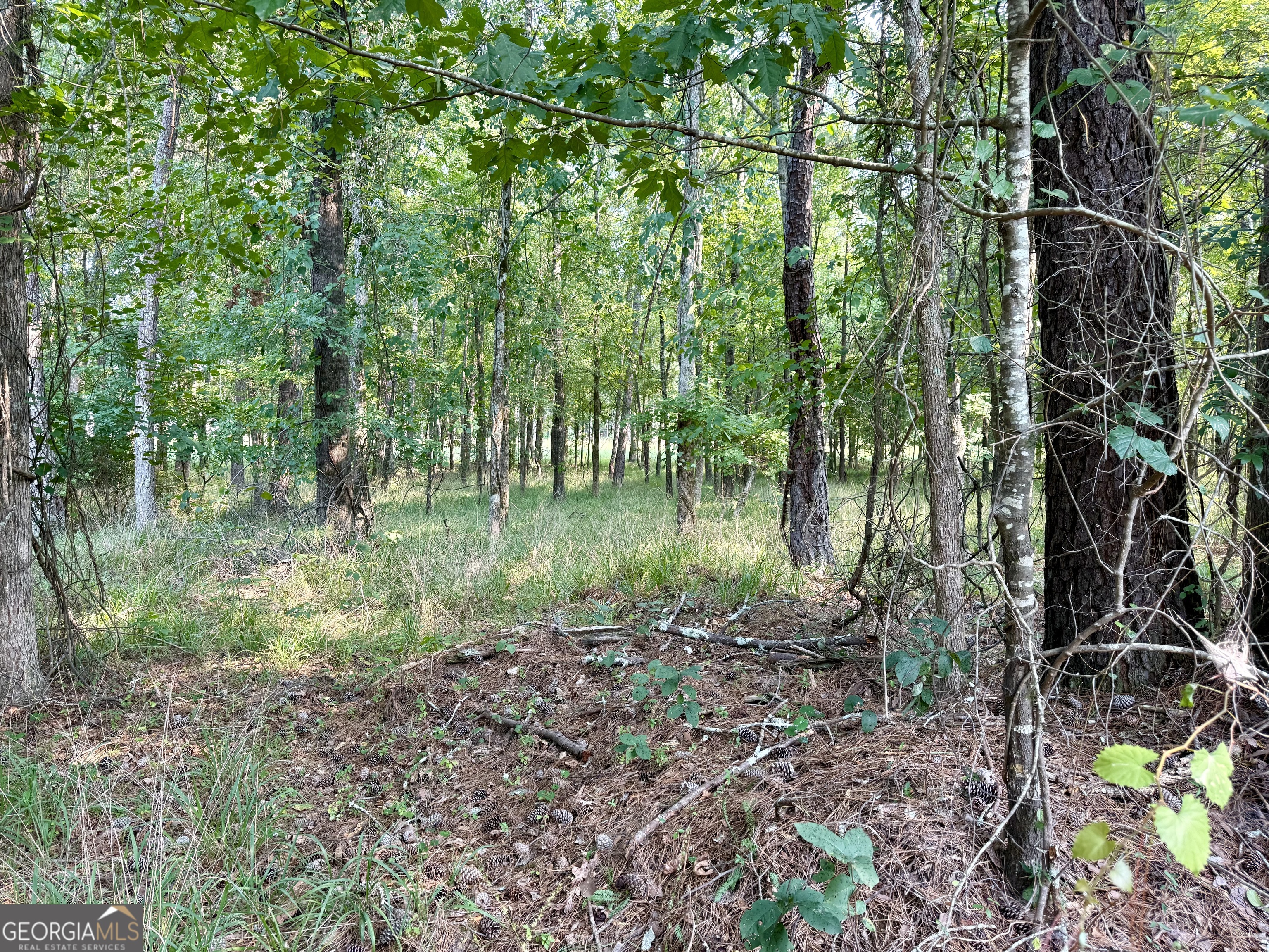 101 Stanton Drive Property Photo 13