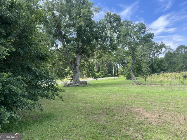 4180 Mcconnell Bridge Road Property Photo 1