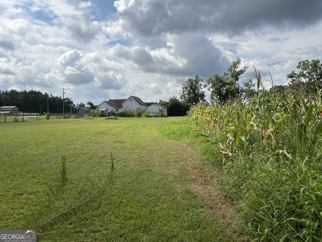 4180 Mcconnell Bridge Road Property Photo 9