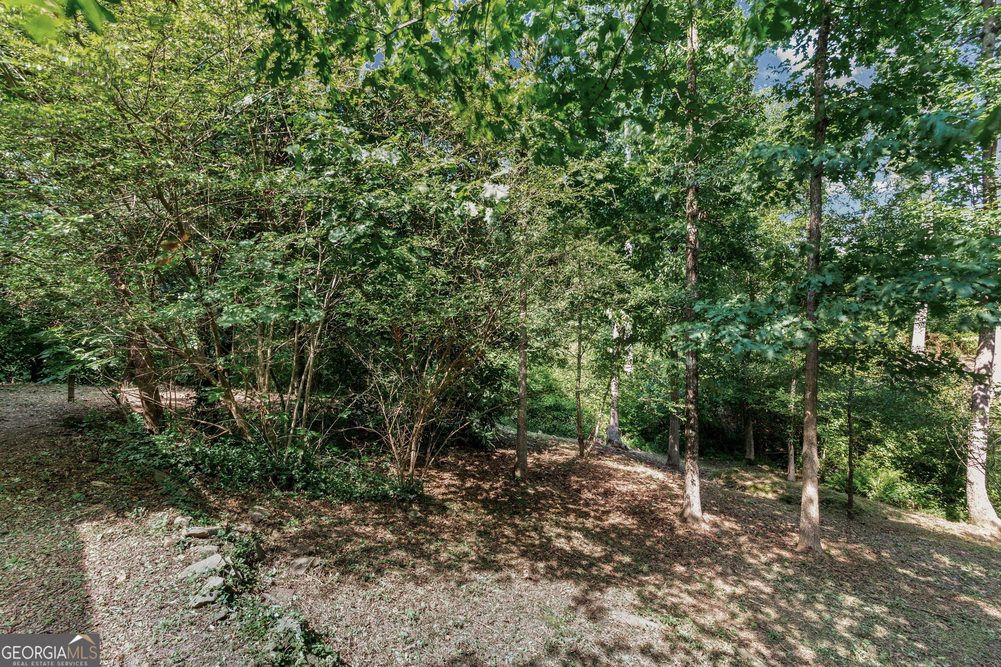 52 Fox Hollow Run Property Photo 74