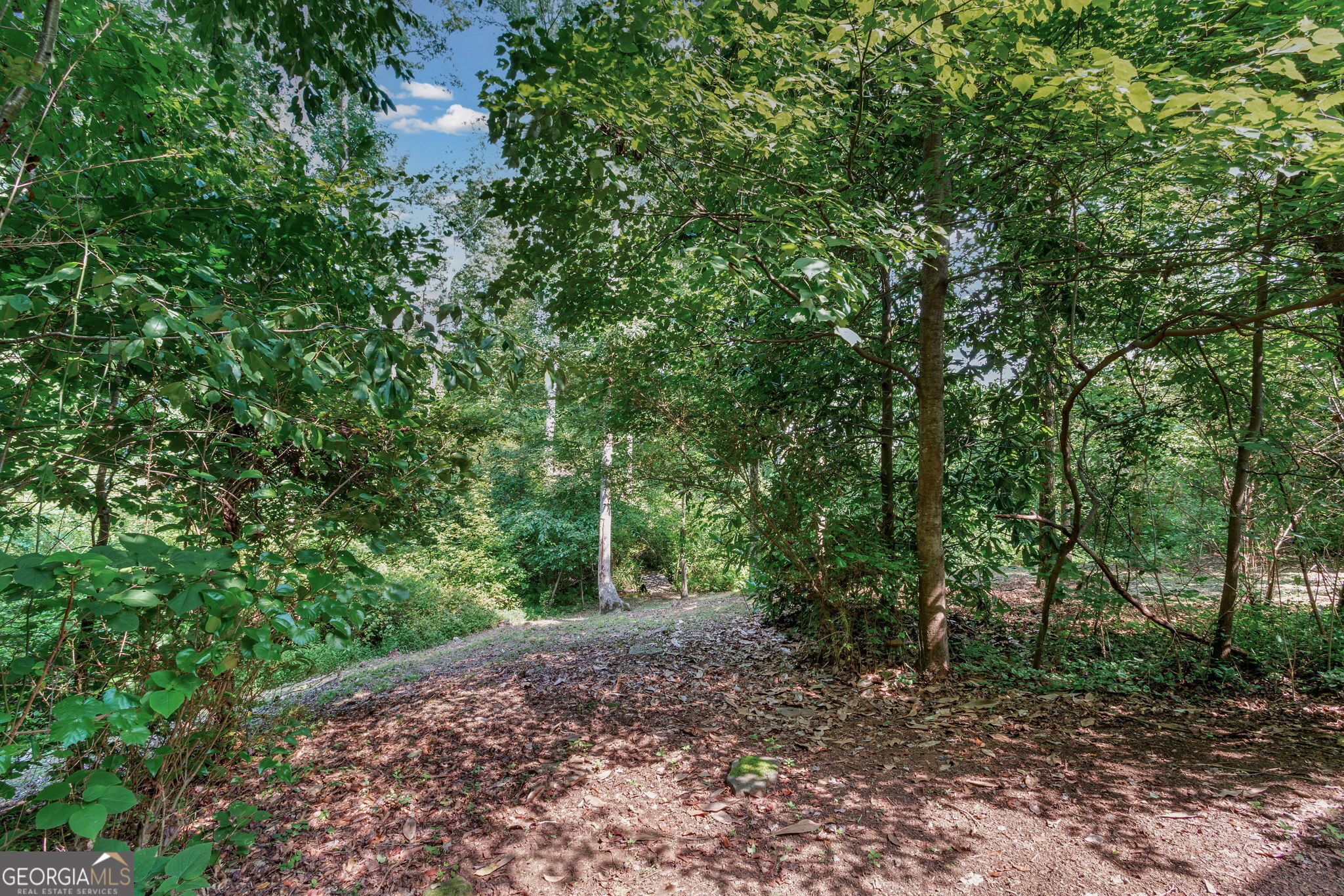 52 Fox Hollow Run Property Photo 75