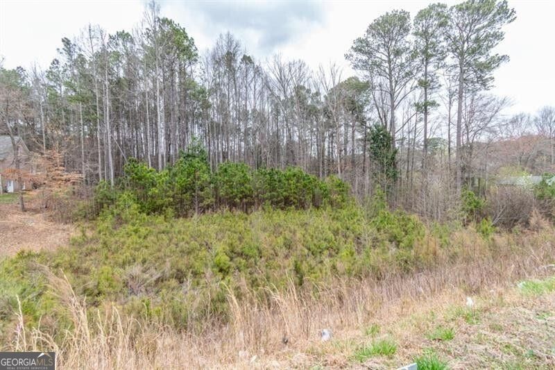 5431 Cumming Highway Property Photo 6