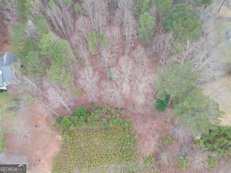 5431 Cumming Highway Property Photo 14