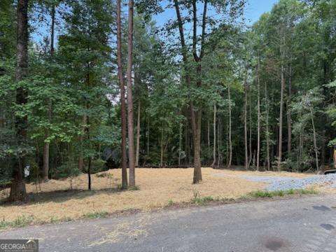 LOT 195 Shenendoa Drive # 195 Property Photo 1