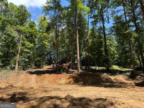 Lot 195 Shenendoa Drive # 195 Property Photo 4
