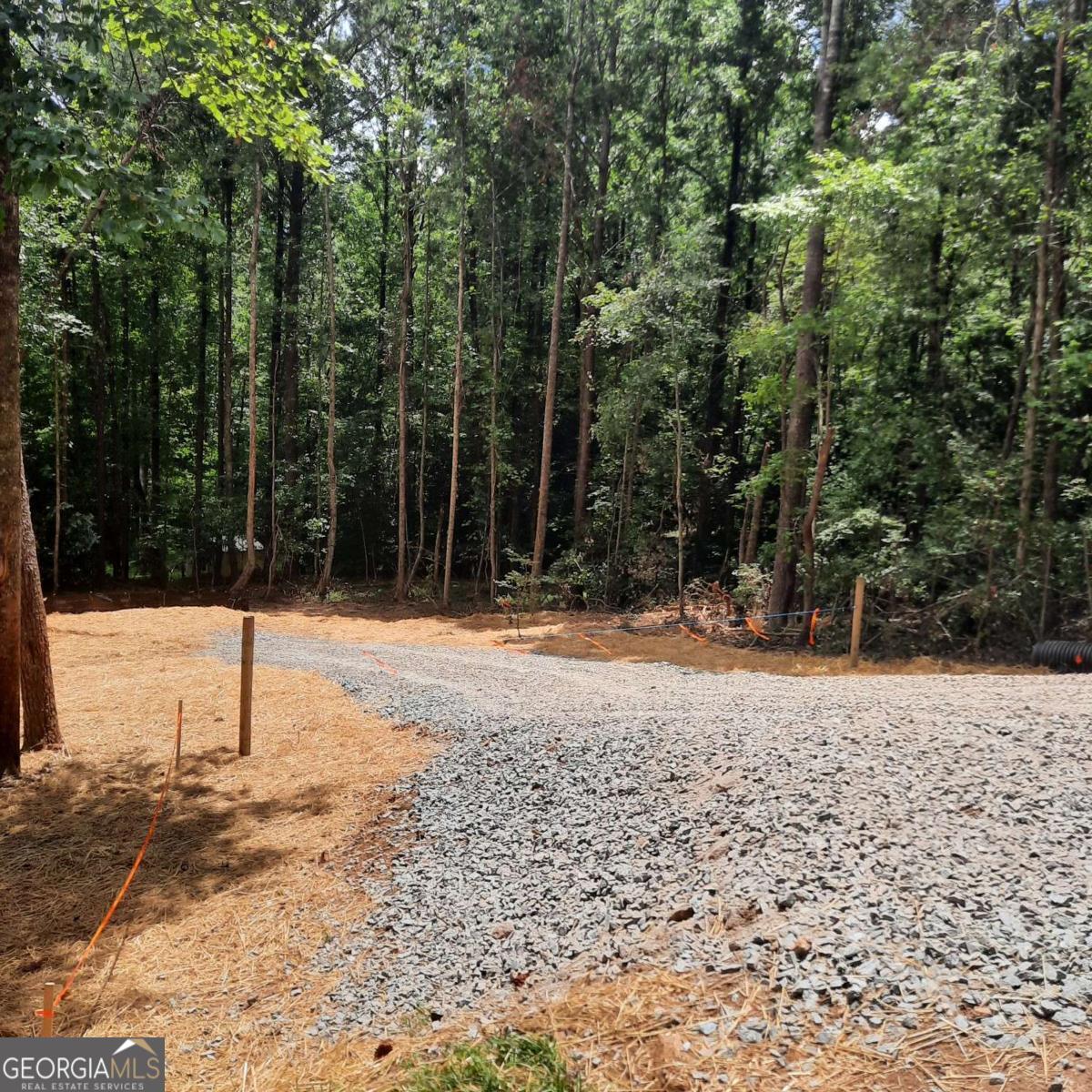 Lot 195 Shenendoa Drive # 195 Property Photo 6