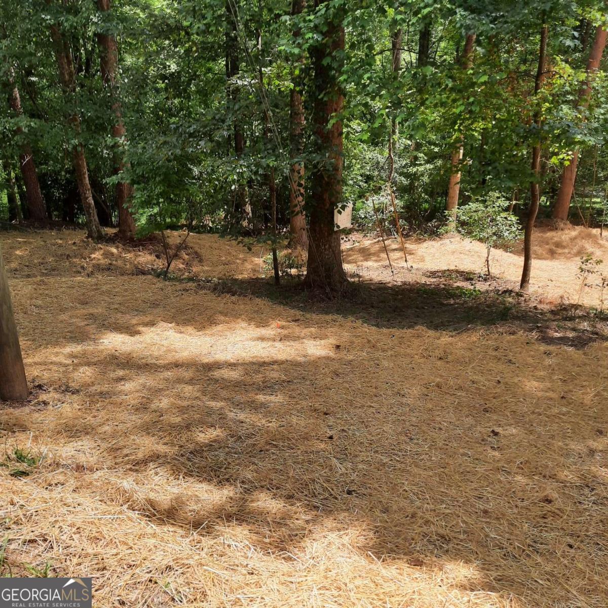 Lot 195 Shenendoa Drive # 195 Property Photo 7