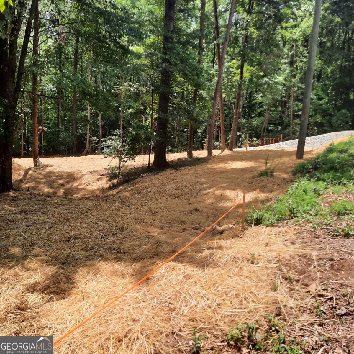 Lot 195 Shenendoa Drive # 195 Property Photo 8