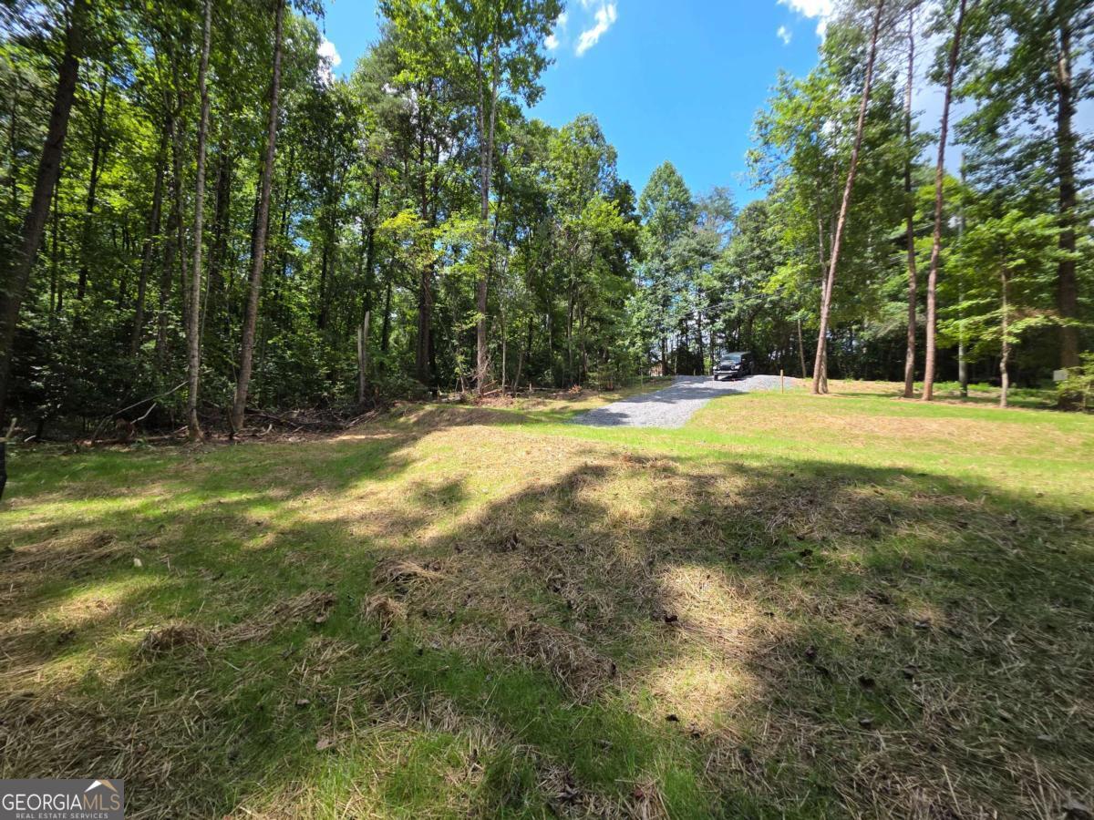 Lot 195 Shenendoa Drive # 195 Property Photo 9