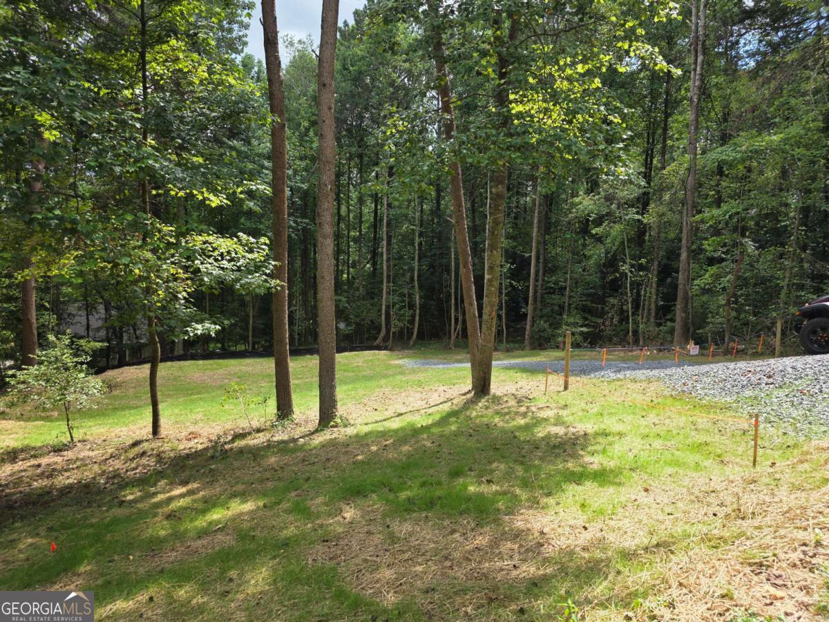 Lot 195 Shenendoa Drive # 195 Property Photo 10