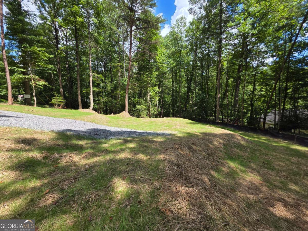 Lot 195 Shenendoa Drive # 195 Property Photo 11