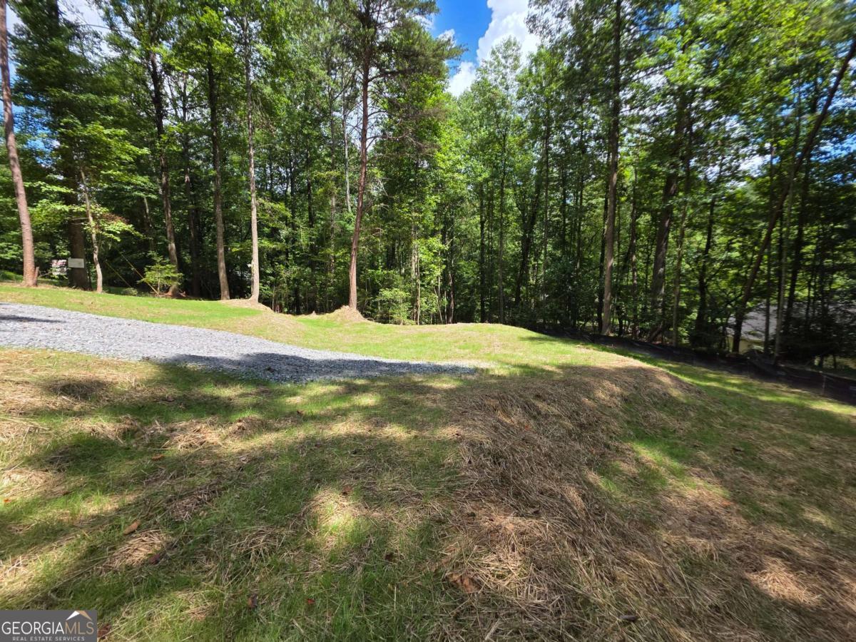 Lot 195 Shenendoa Drive # 195 Property Photo 12