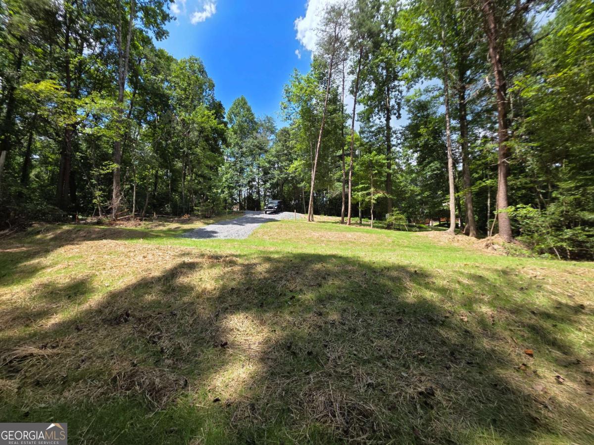 Lot 195 Shenendoa Drive # 195 Property Photo 13