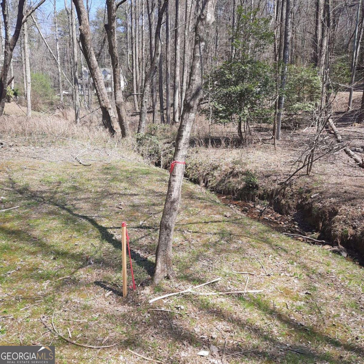 Lot 195 Shenendoa Drive # 195 Property Photo 14