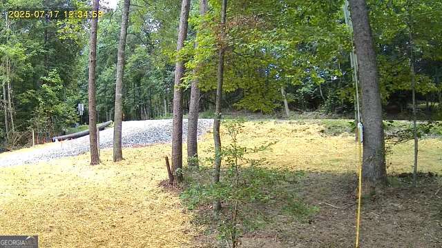 Lot 195 Shenendoa Drive # 195 Property Photo 15