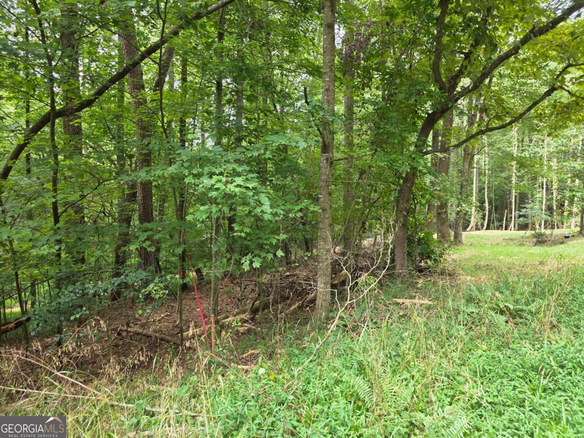 Lot 195 Shenendoa Drive # 195 Property Photo 19