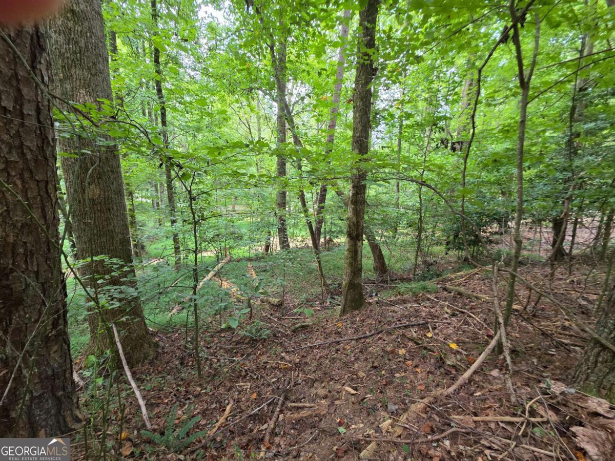 Lot 195 Shenendoa Drive # 195 Property Photo 20