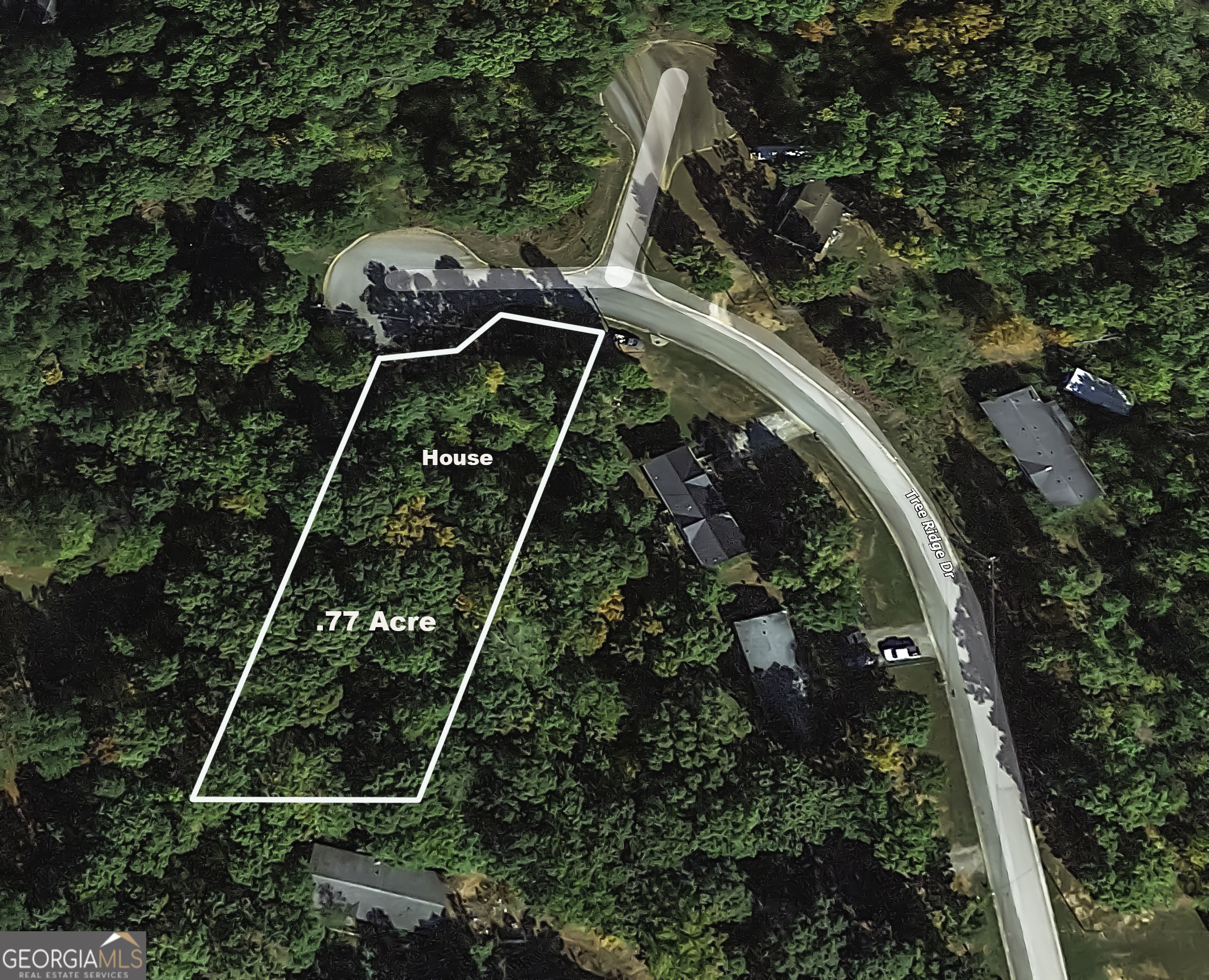 530 Tree Ridge Property Photo 39