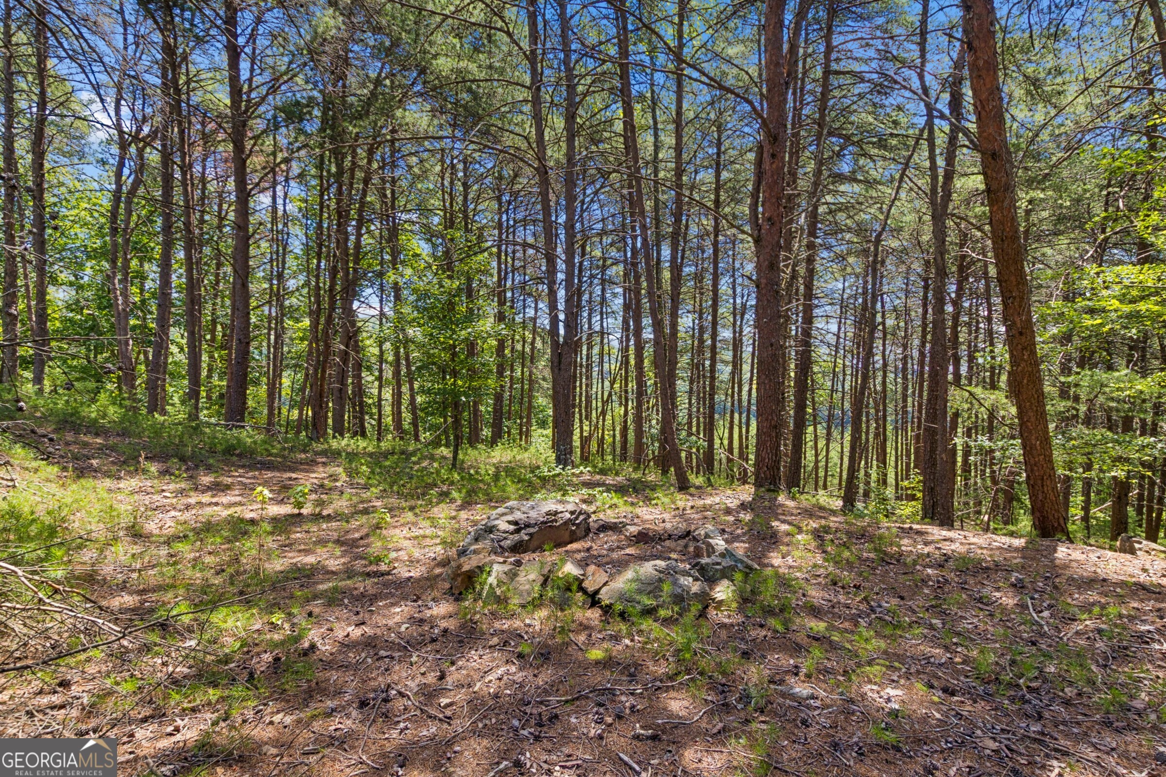 2709 Jamerson Road Property Photo 7