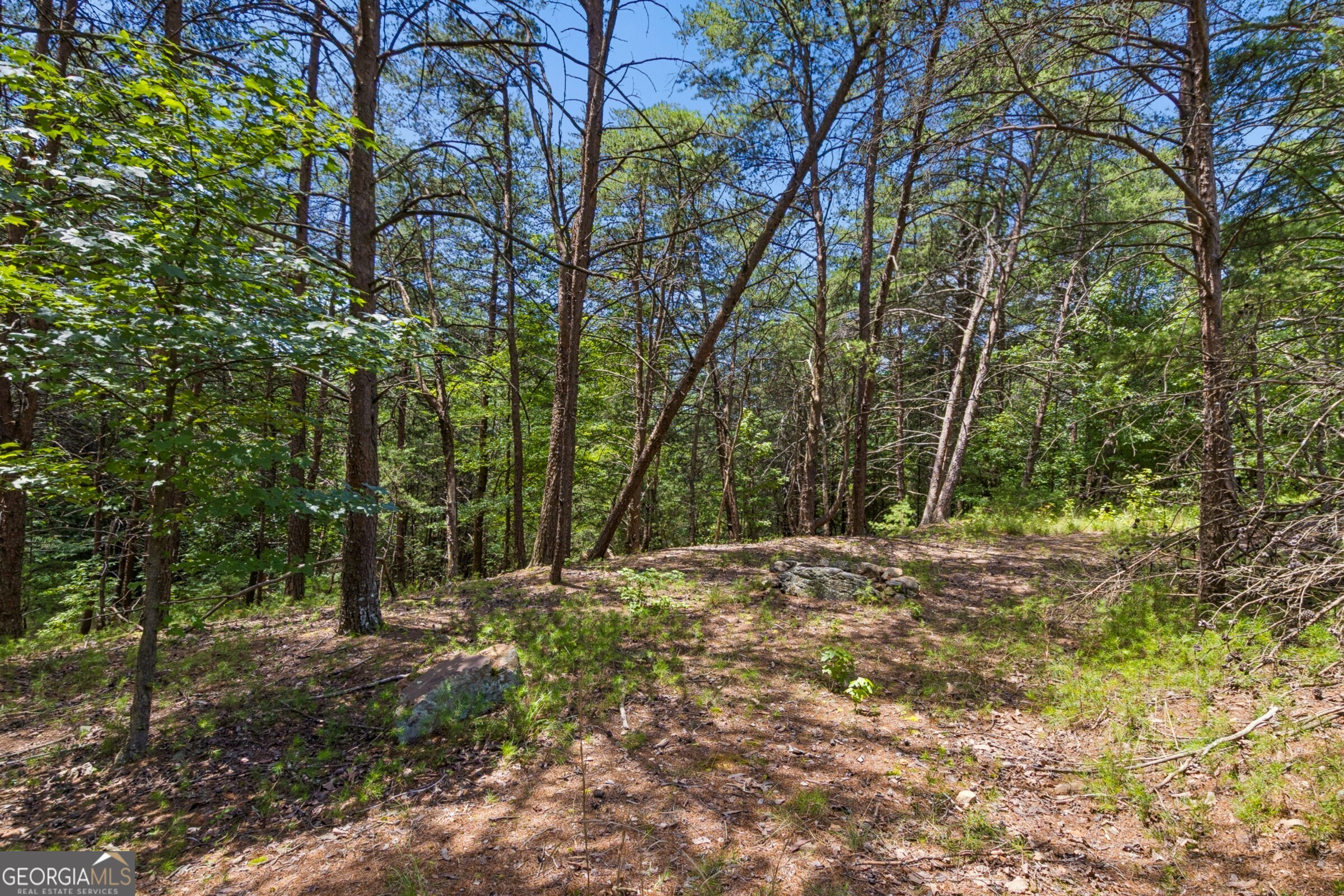 2709 Jamerson Road Property Photo 8