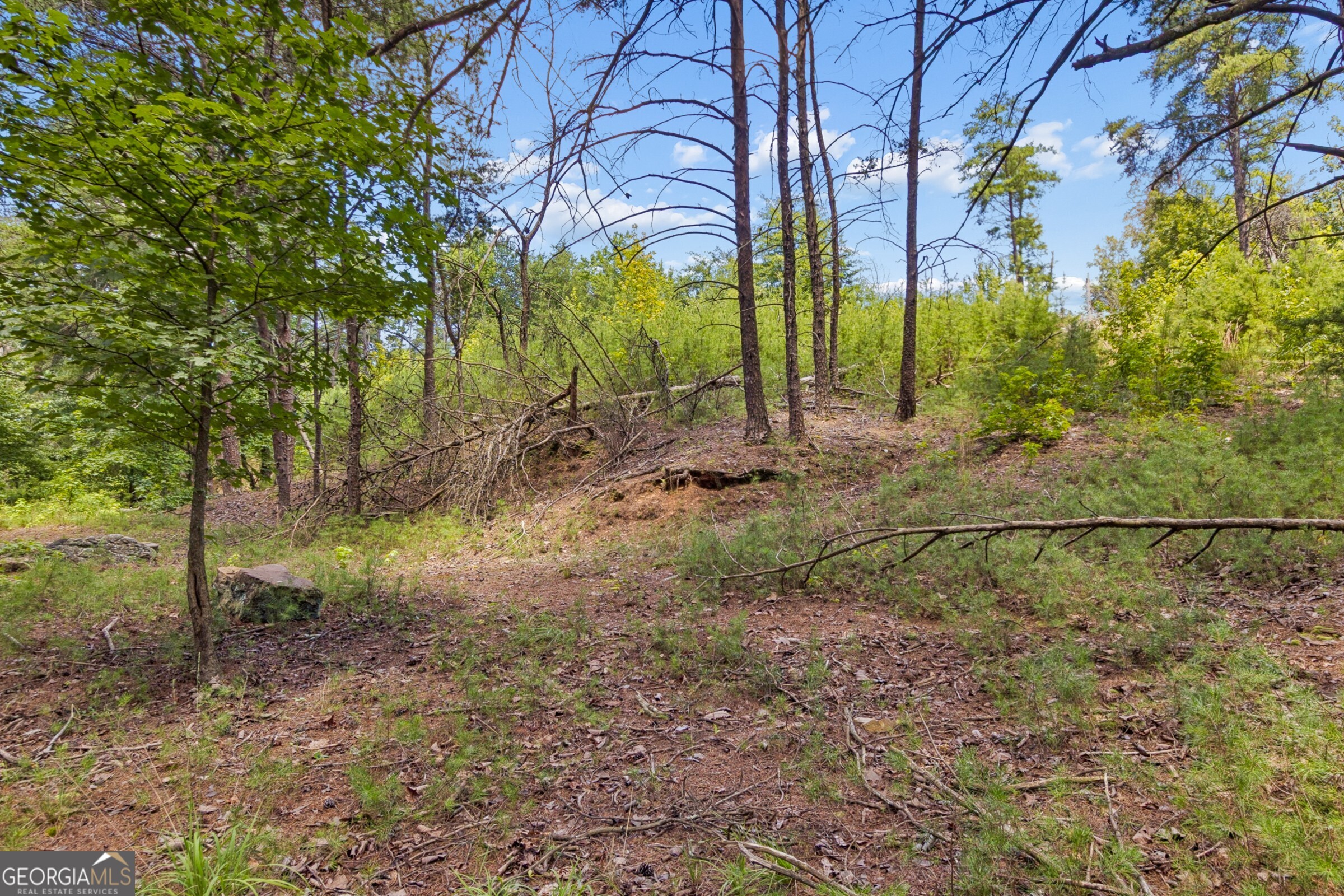 2709 Jamerson Road Property Photo 9