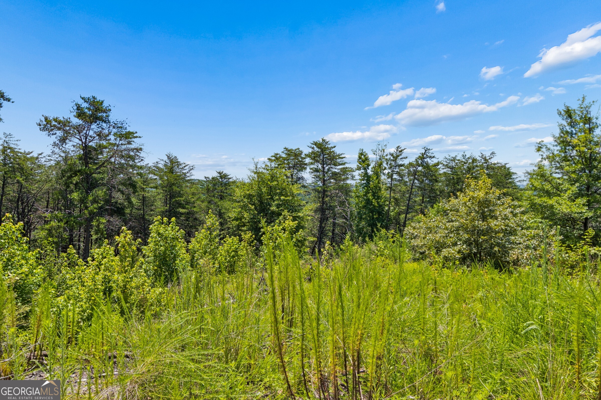 2709 Jamerson Road Property Photo 13