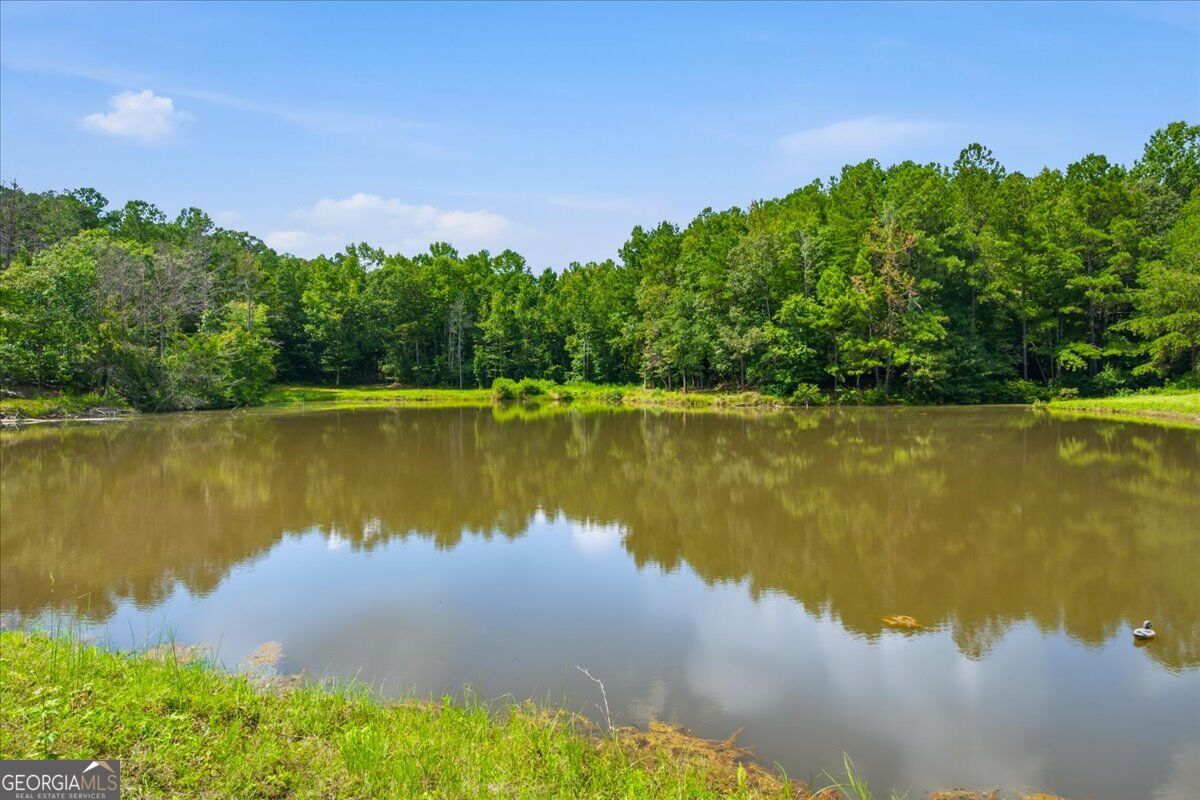 80 Hand Road Property Photo 46