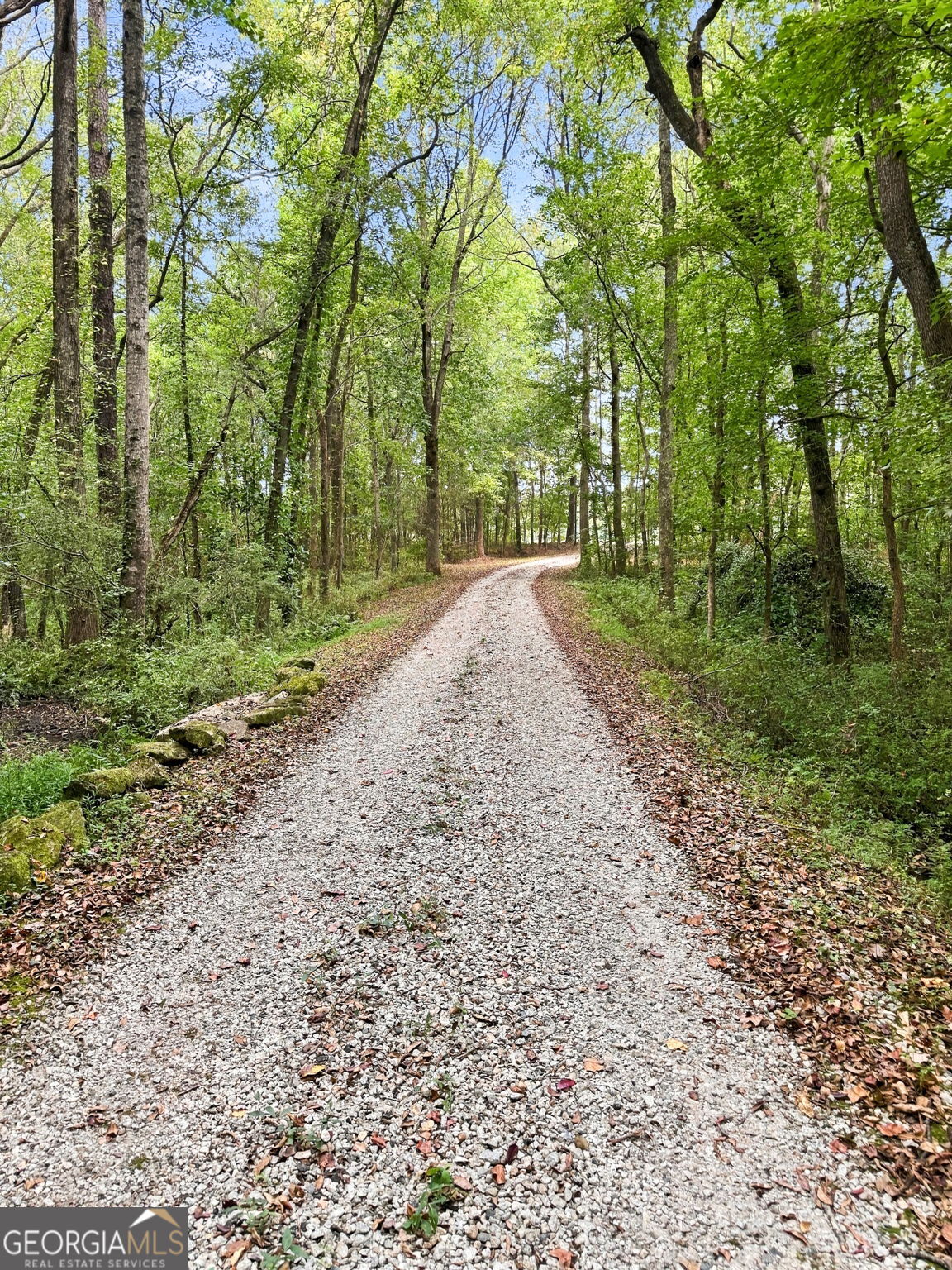 1834 Highway 16 W Property Photo 85