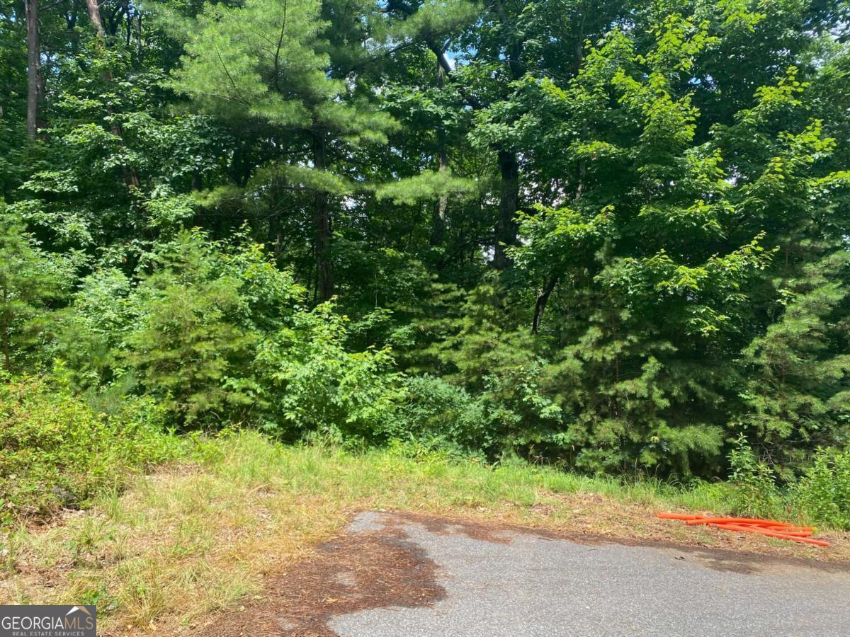 0 Sunrise Ridge Lot 28 Property Photo 2