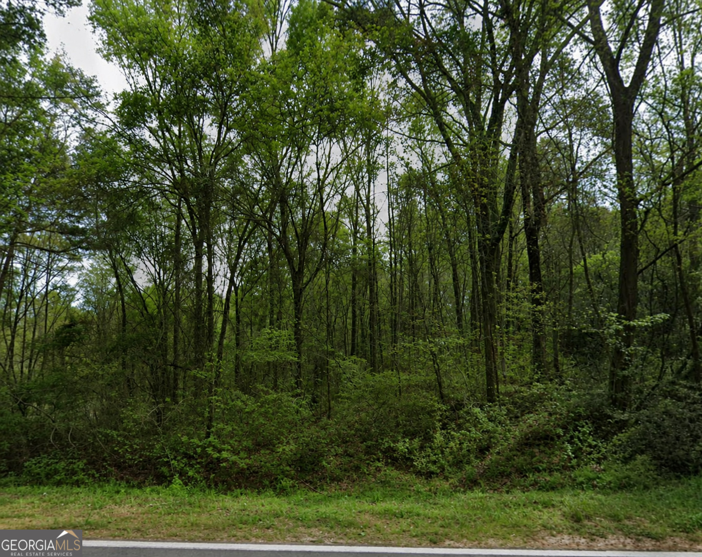 1.41 Acres Ridgeway West Road Property Photo 5