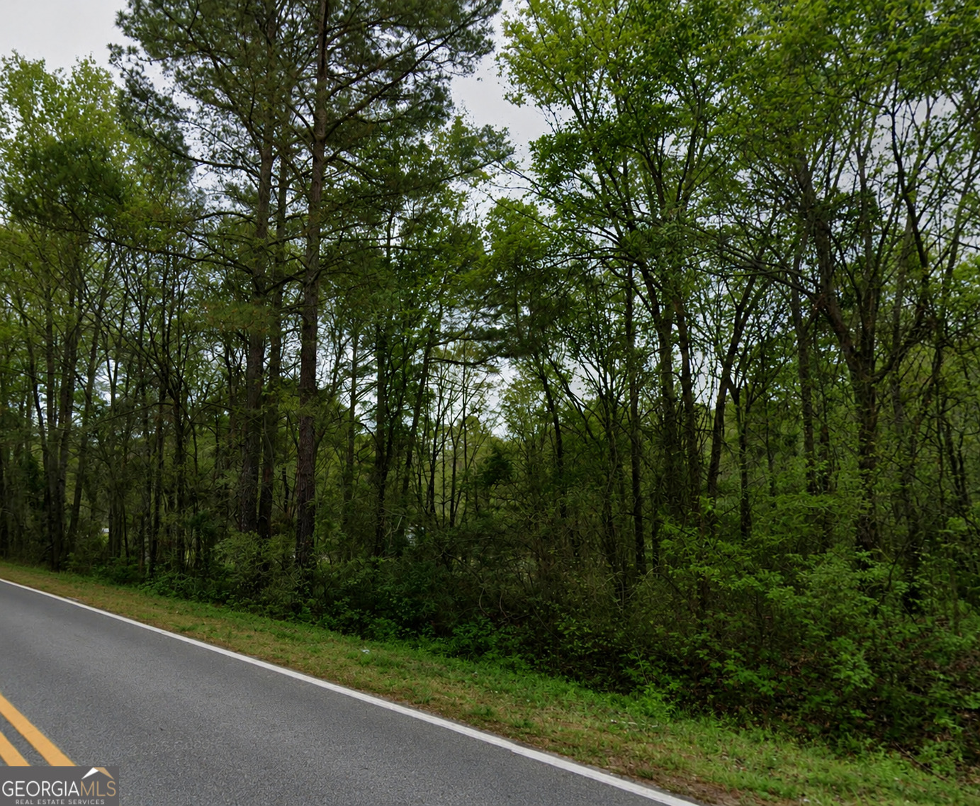 1.41 Acres Ridgeway West Road Property Photo 6
