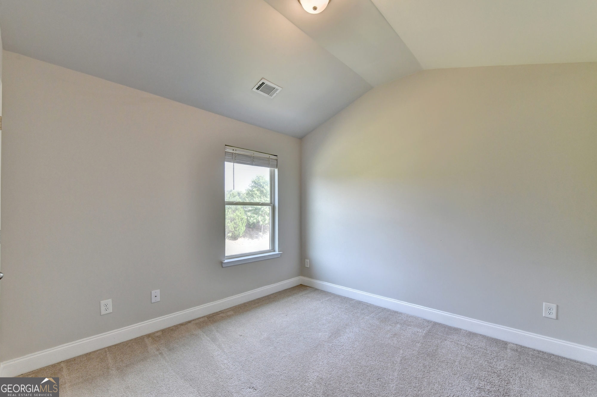 462 Hinton Farm Way Property Photo 57